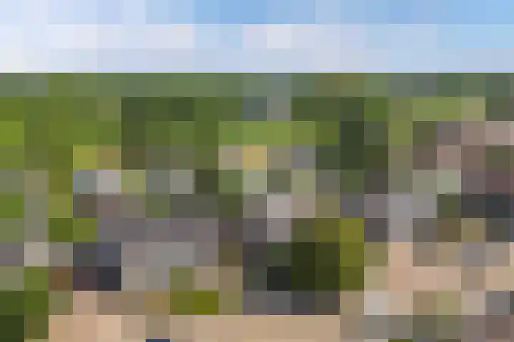 Voorhuis 67 Drachten thumbnail 5