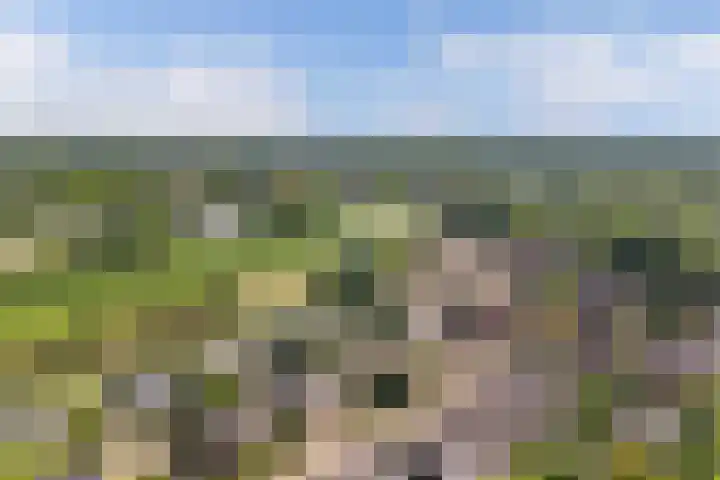 Voorhuis 67 Drachten thumbnail 6