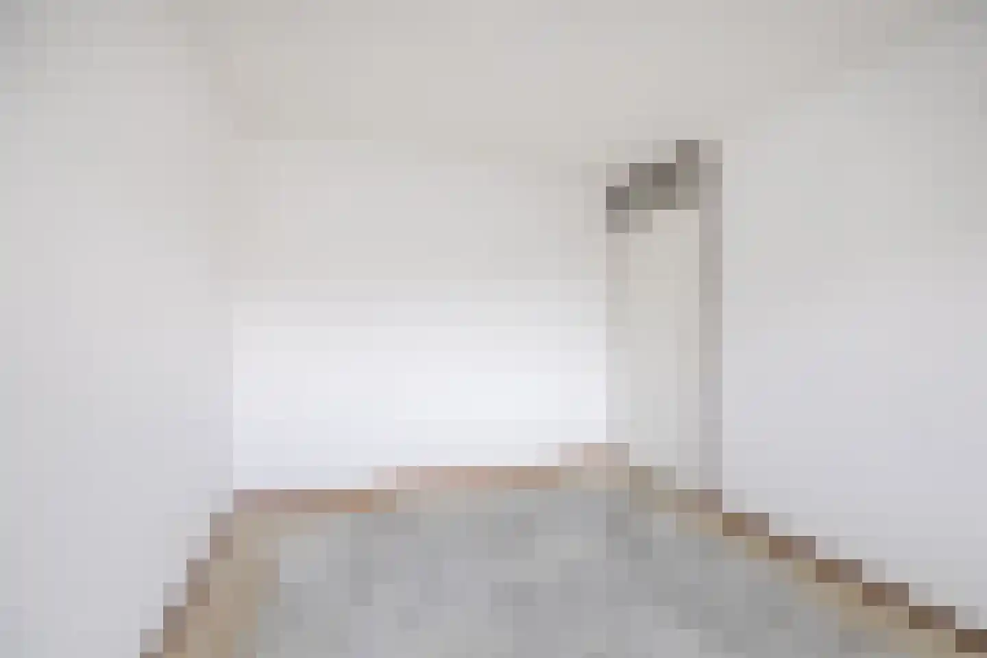 Voorhuis 7 Drachten thumbnail 32