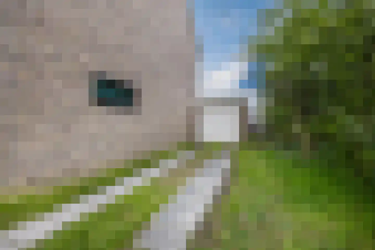 Voorhuis 7 Drachten thumbnail 56