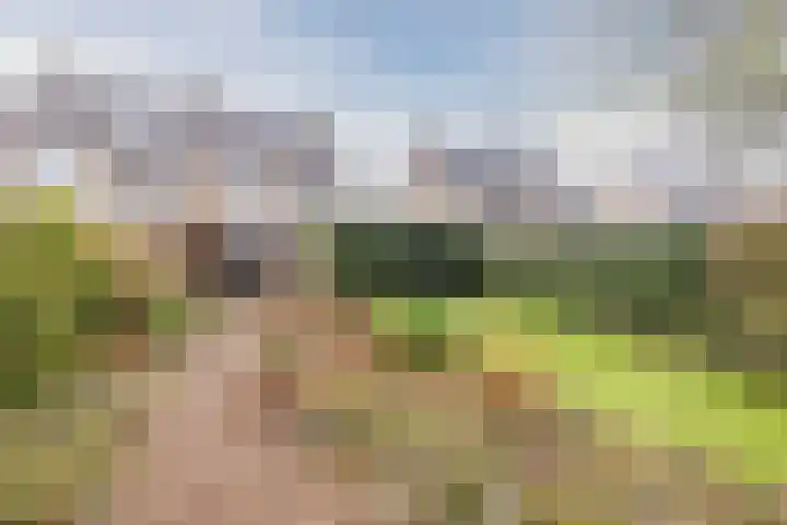 Voorhuis 72 Drachten thumbnail 5
