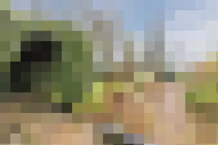 Voorhuis 72 Drachten thumbnail 6