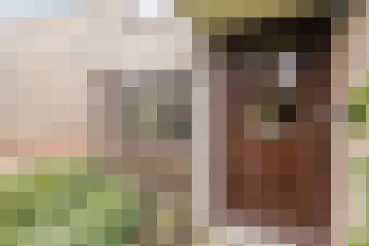 Voorhuis 72 Drachten thumbnail 7