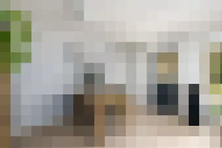 Voorhuis 96 Drachten thumbnail 12