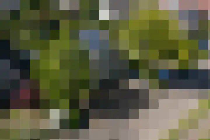 Voorhuis 96 Drachten thumbnail 4