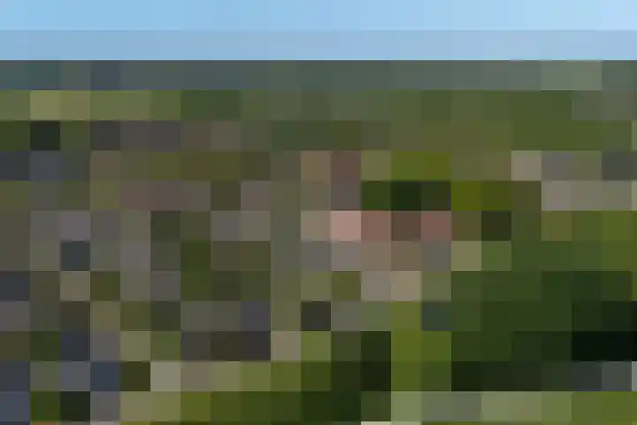Voorhuis 96 Drachten thumbnail 51