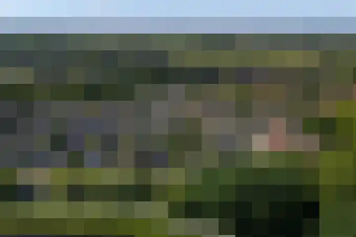 Voorhuis 96 Drachten thumbnail 54