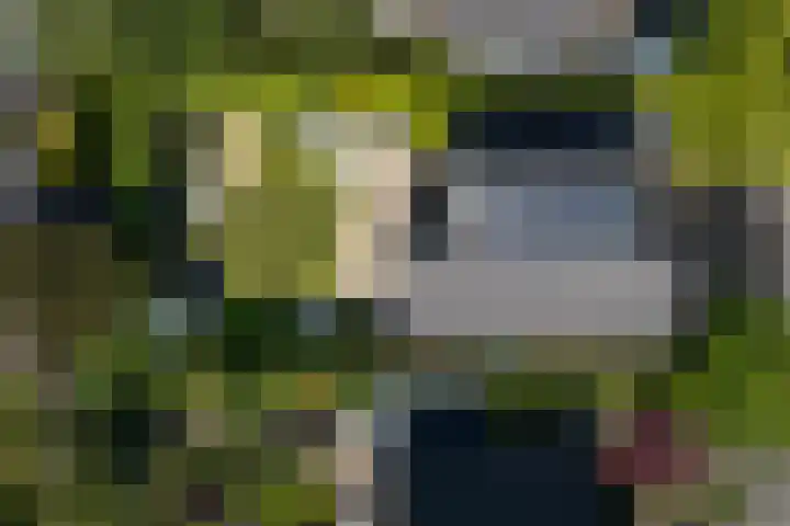 Voorhuis 96 Drachten thumbnail 57