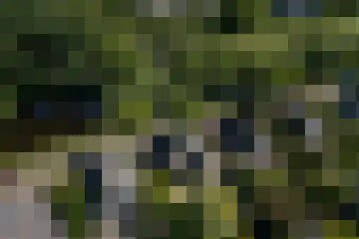 Voorhuis 96 Drachten thumbnail 59