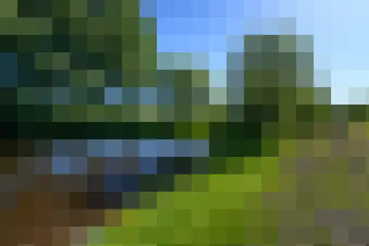 Voorhuis 96 Drachten thumbnail 61