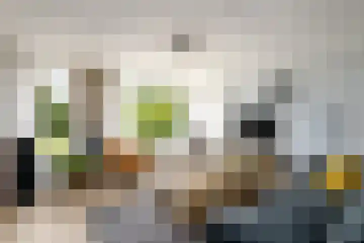 Voorhuis 96 Drachten thumbnail 8