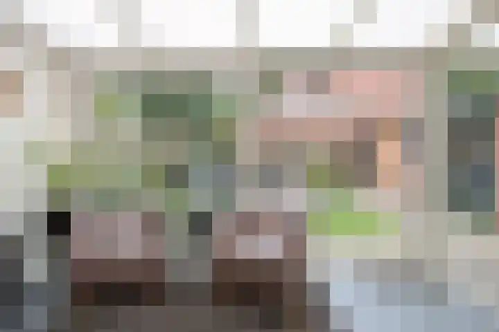 Voorinkstraat 13 Oosterbeek thumbnail 16
