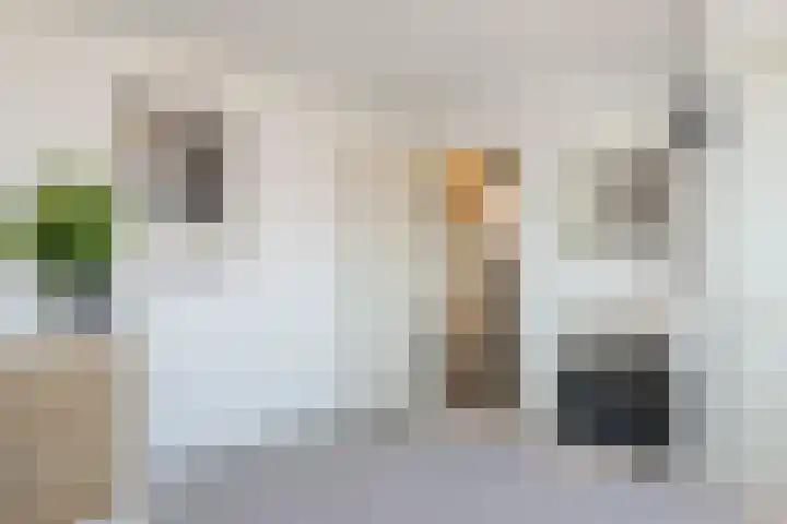 Voorinkstraat 13 Oosterbeek thumbnail 31