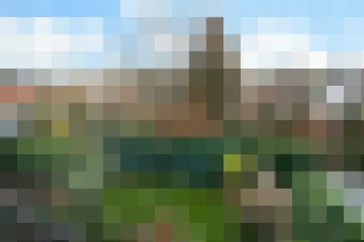 Voorinkstraat 18 Oosterbeek thumbnail 51
