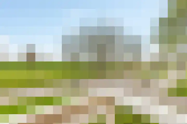 Voorjaarstraat 2 Almere thumbnail 35