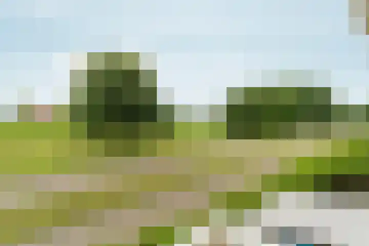 Voorjaarstraat 30 Almere thumbnail 19