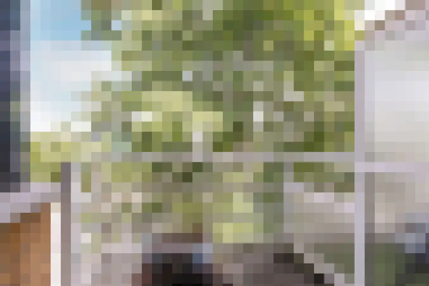 Voorjaarstraat 32 Almere thumbnail 4