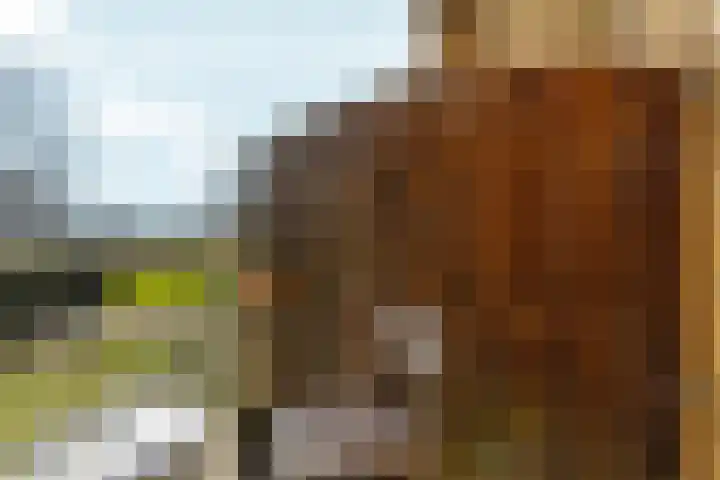 Voorjaarstraat 35 Almere thumbnail 36