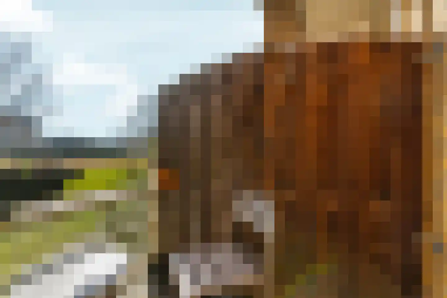 Voorjaarstraat 35 Almere thumbnail 36
