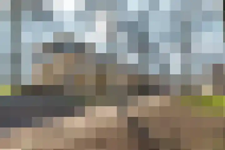 Voorjaarstraat 35 Almere thumbnail 37