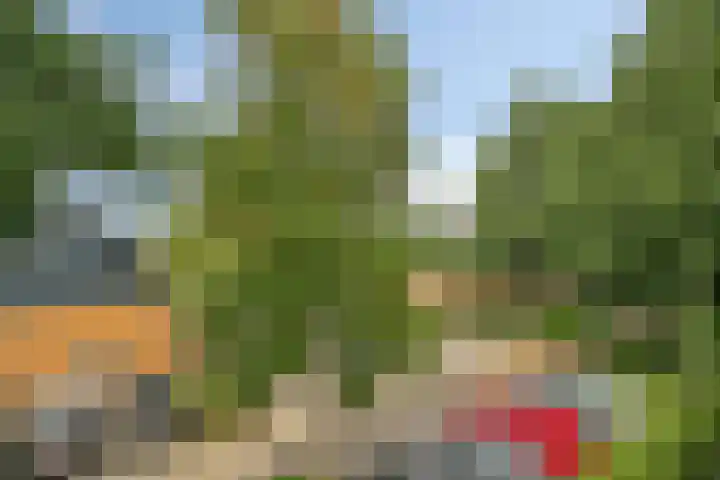 Voorjaarstraat 42 Almere thumbnail 17