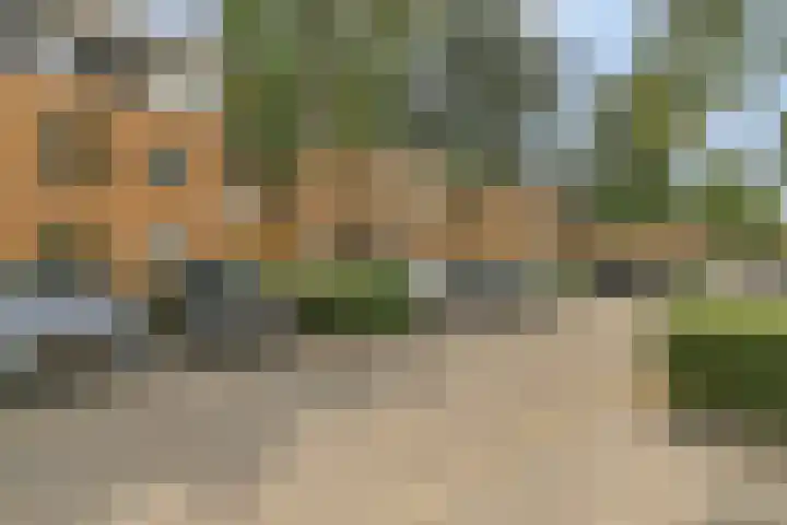 Voorjaarstraat 42 Almere thumbnail 19