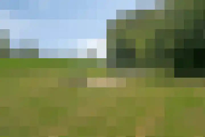 Voorjaarstraat 42 Almere thumbnail 24