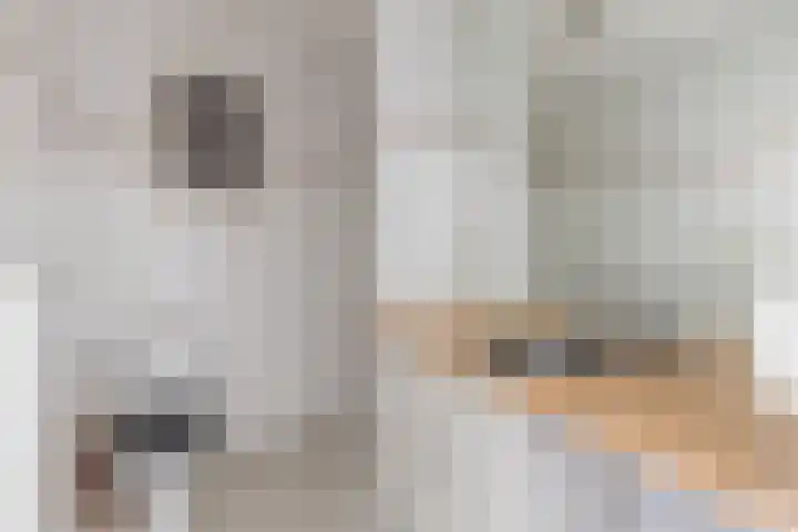 Voorkade 57 Boskoop thumbnail 10