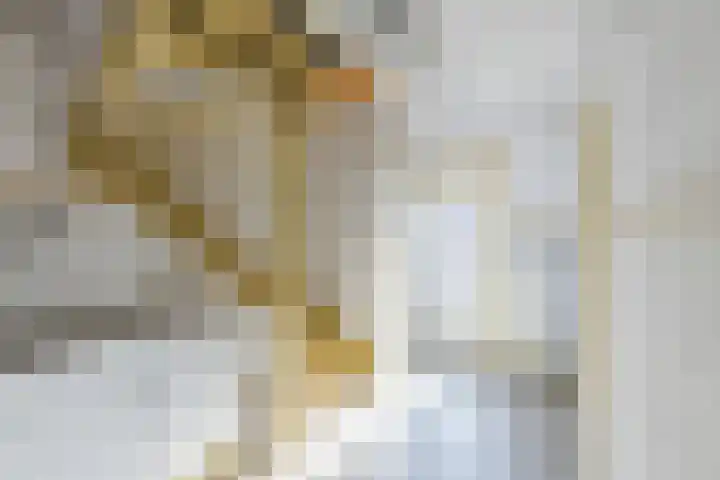 Voorkade 57 Boskoop thumbnail 23