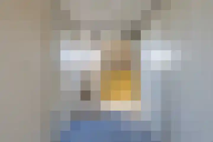 Voorkade 57 Boskoop thumbnail 27