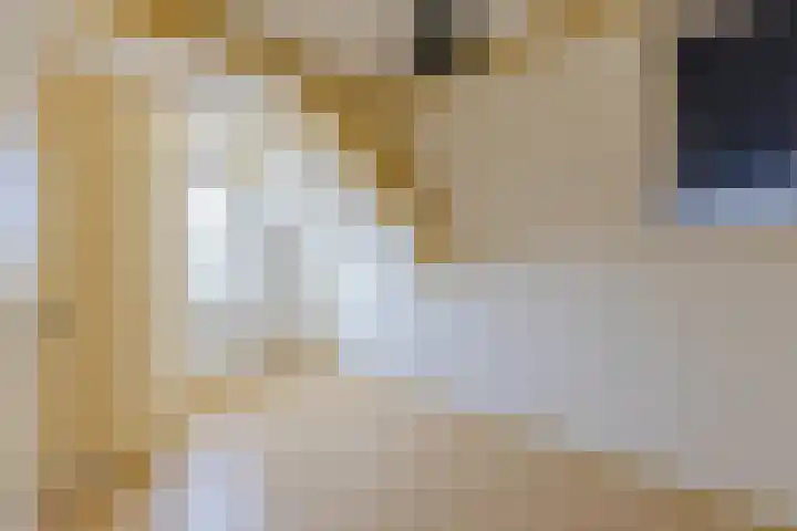 Voorkade 57 Boskoop thumbnail 31
