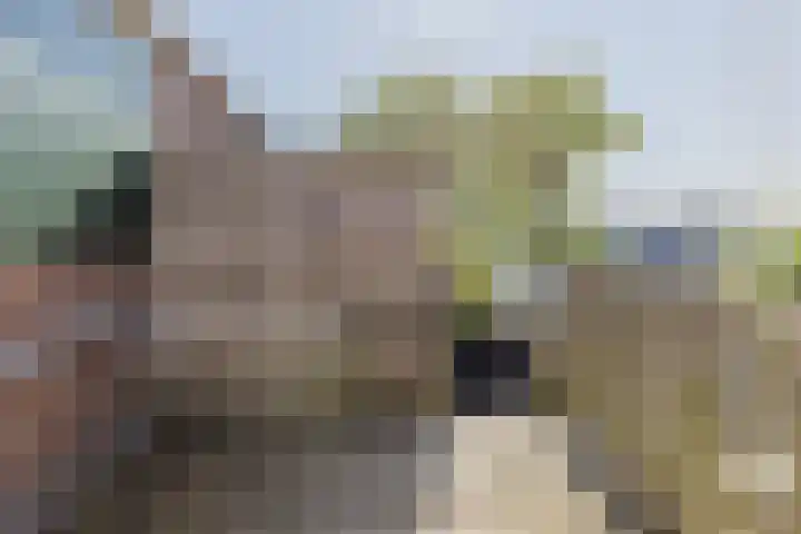 Voorkade 57 Boskoop thumbnail 35