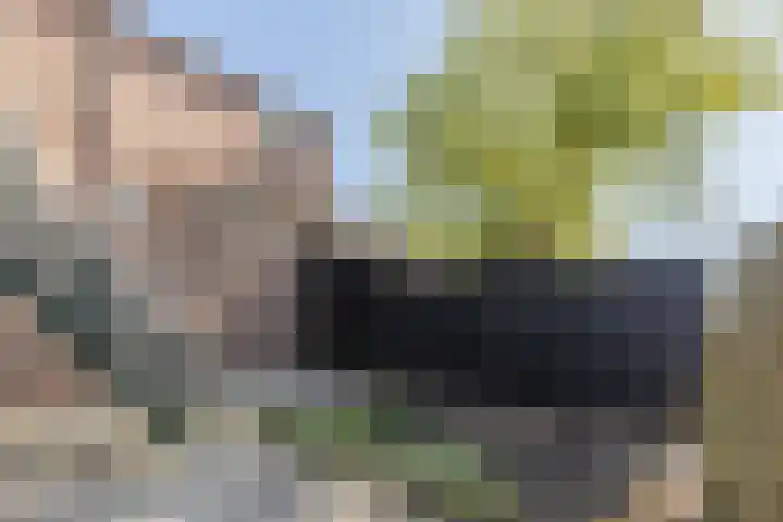 Voorkade 57 Boskoop thumbnail 38