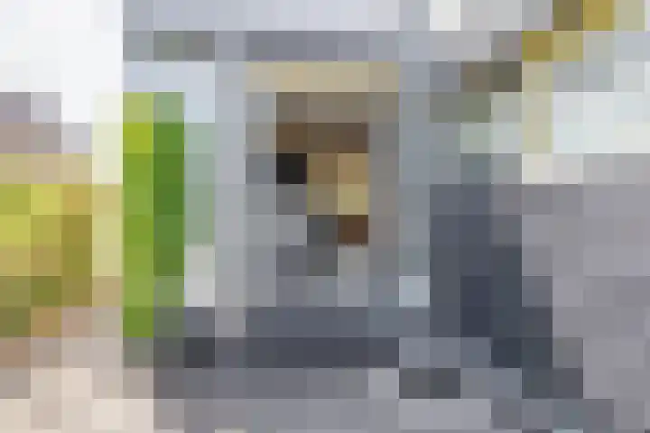 Voorkade 66 Boskoop thumbnail 16