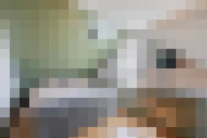 Voorkade 66 Boskoop thumbnail 29