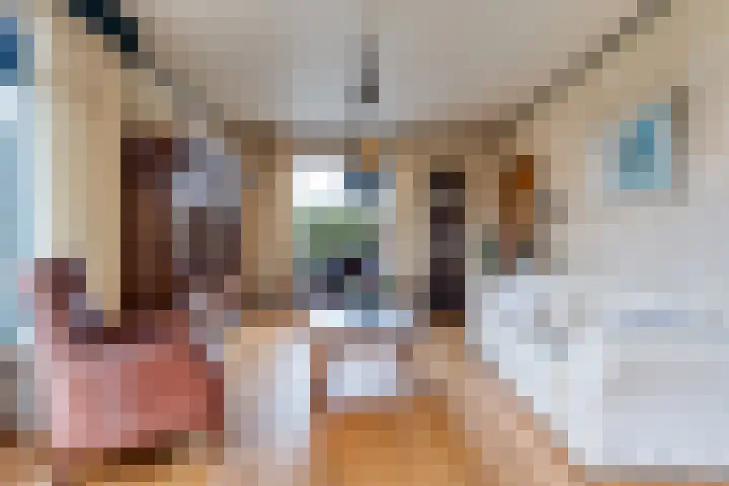 Voorkamp 15 Dalen thumbnail 12