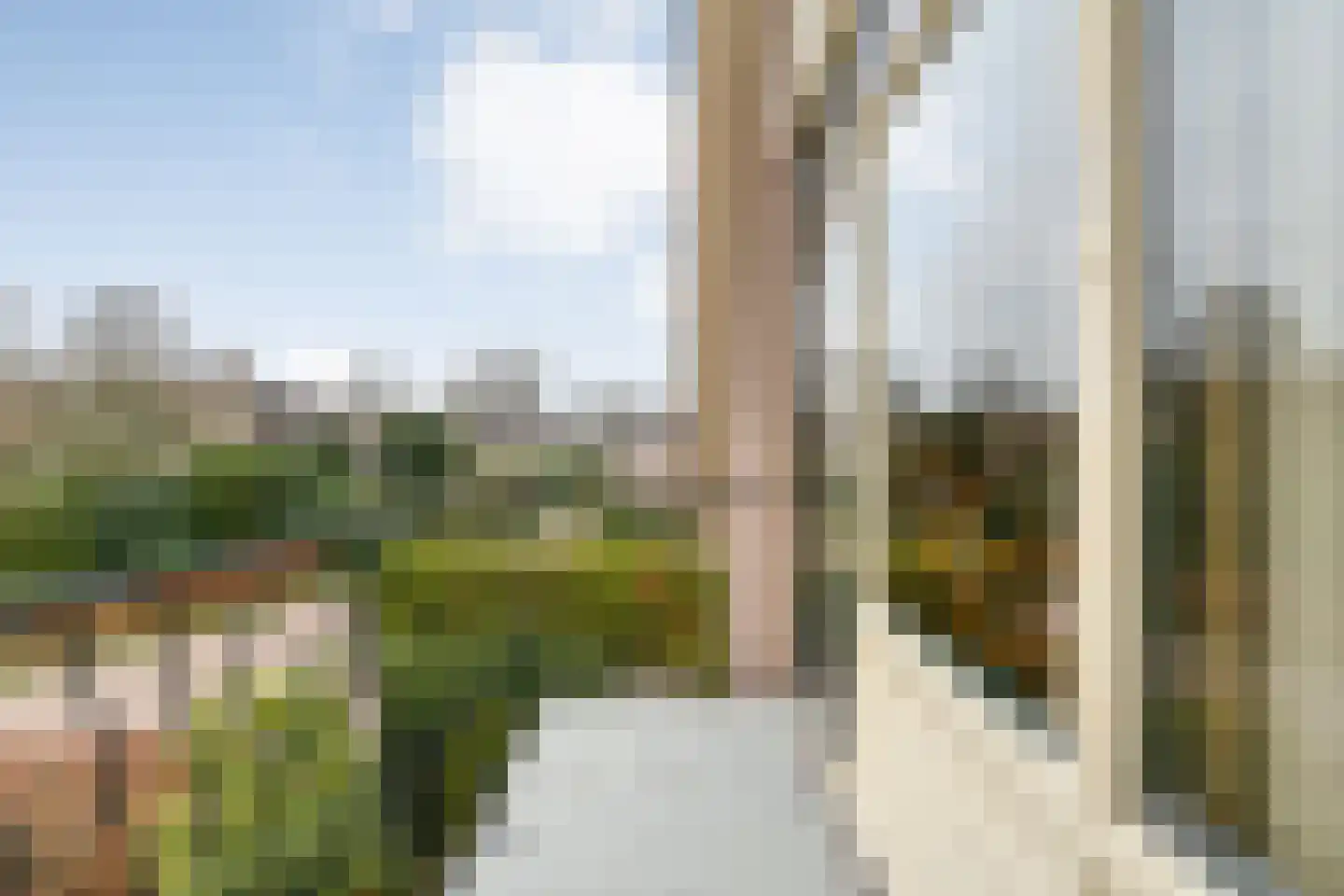 Voorkamp 15 Dalen thumbnail 28