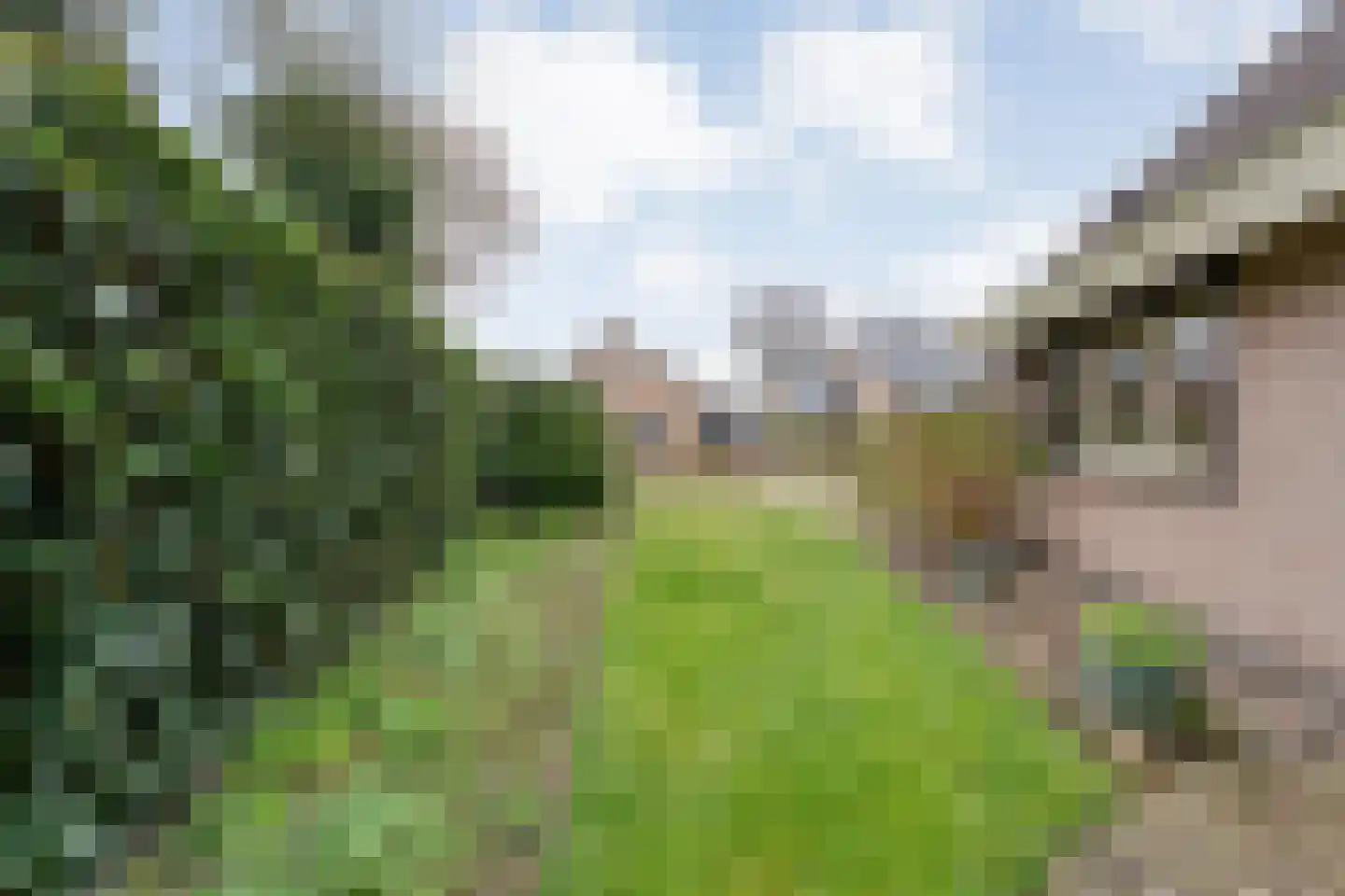 Voorkamp 15 Dalen thumbnail 37