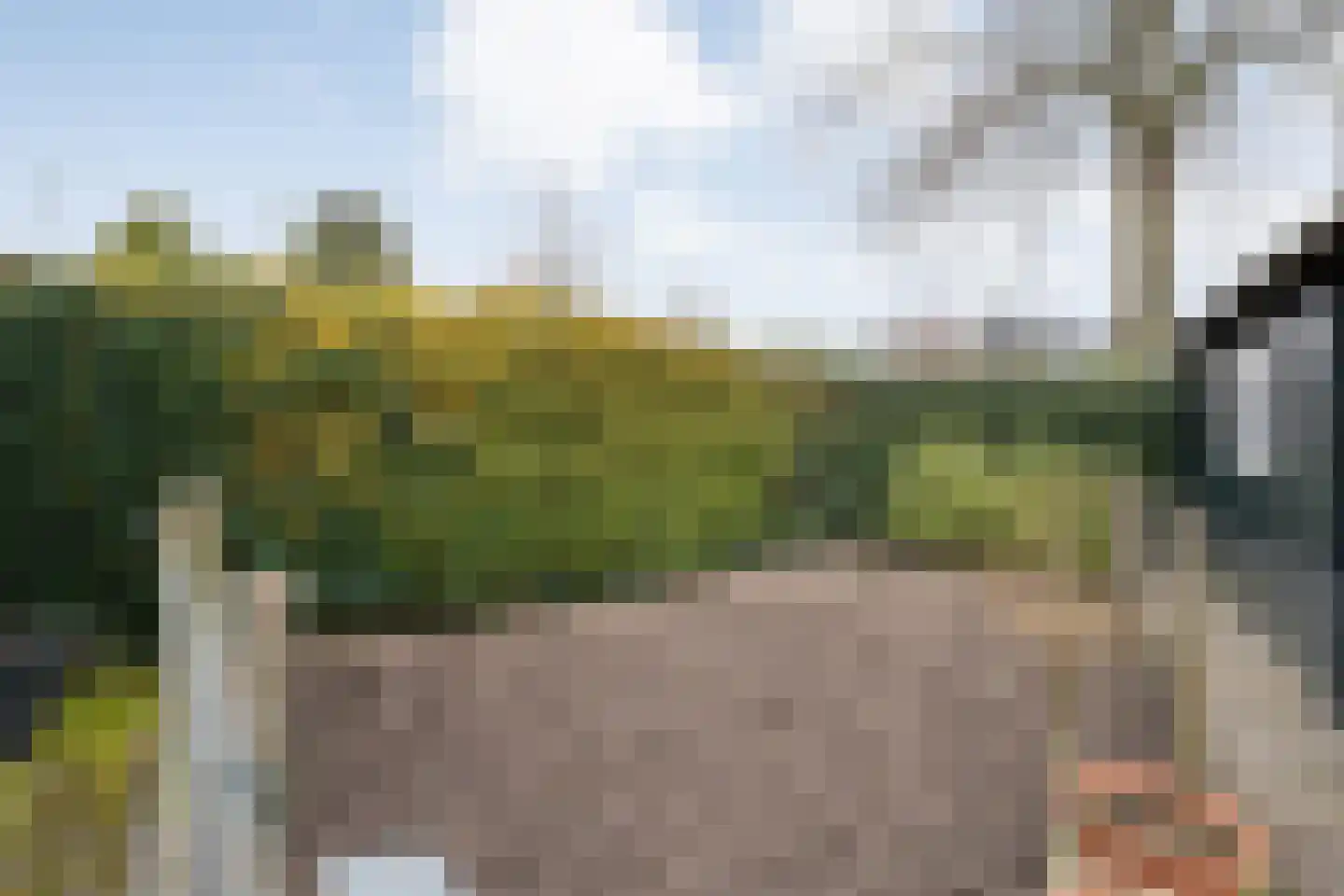Voorkamp 15 Dalen thumbnail 40