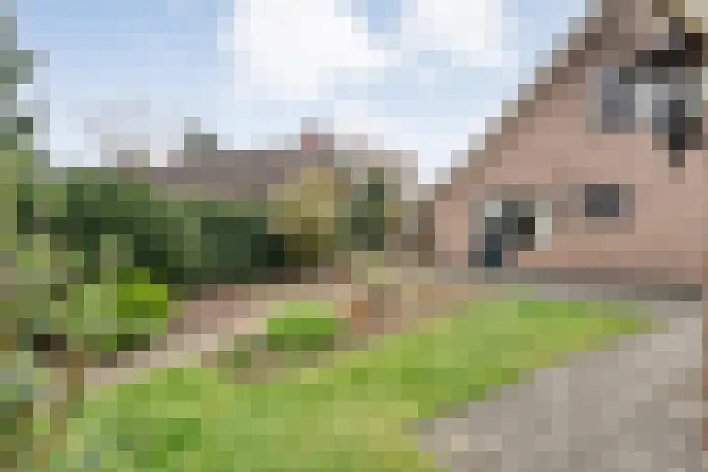 Voorkamp 15 Dalen thumbnail 42