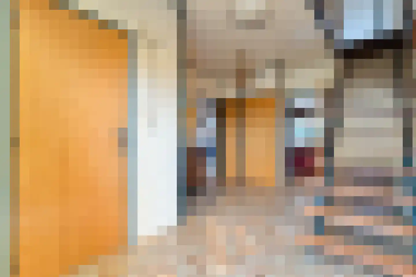 Voorkamp 15 Dalen thumbnail 8