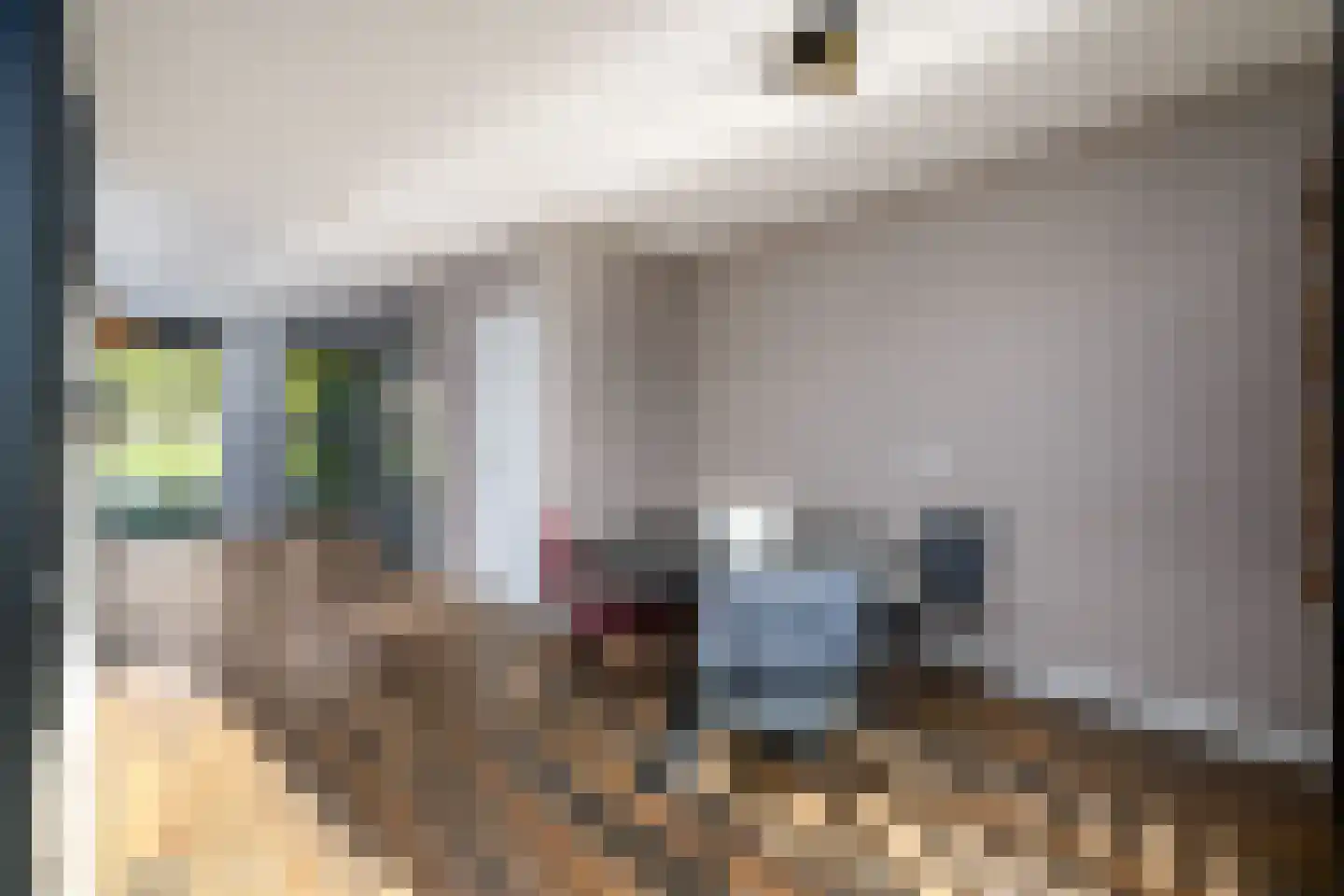 Voorkamp 16 Oldeholtpade thumbnail 11