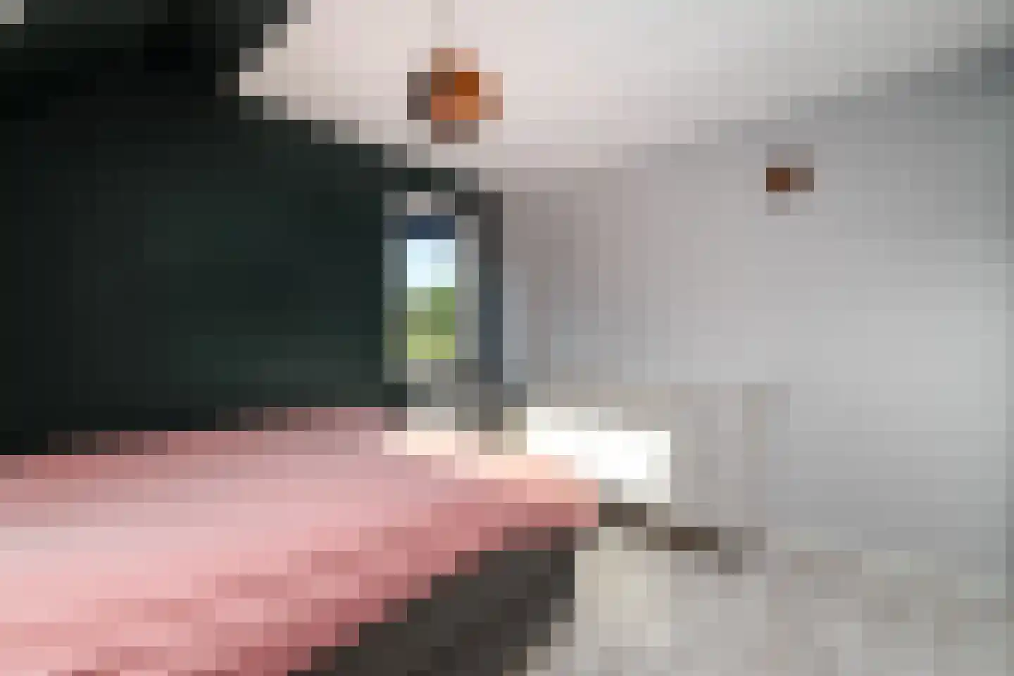 Voorkamp 16 Oldeholtpade thumbnail 19