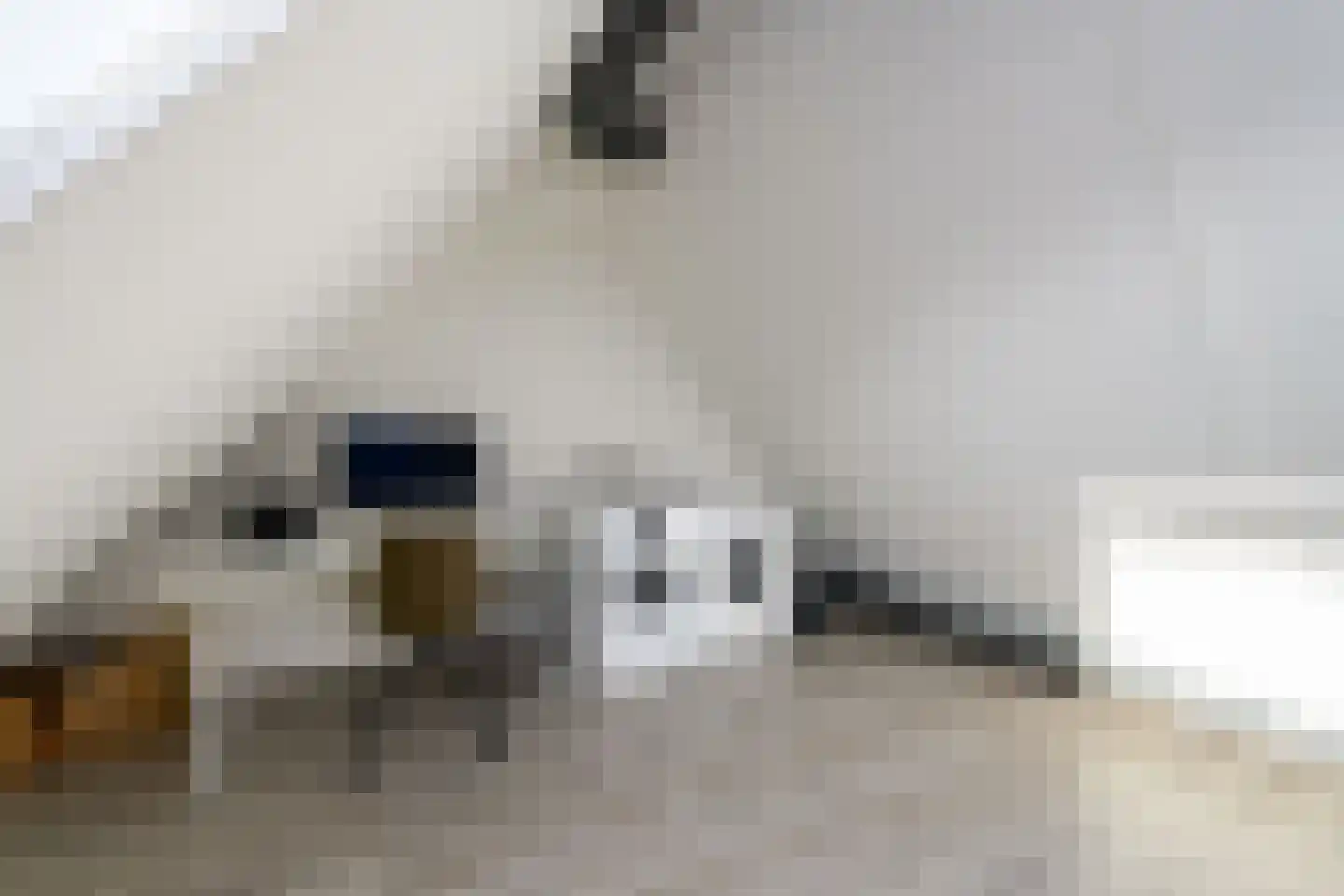 Voorkamp 16 Oldeholtpade thumbnail 28