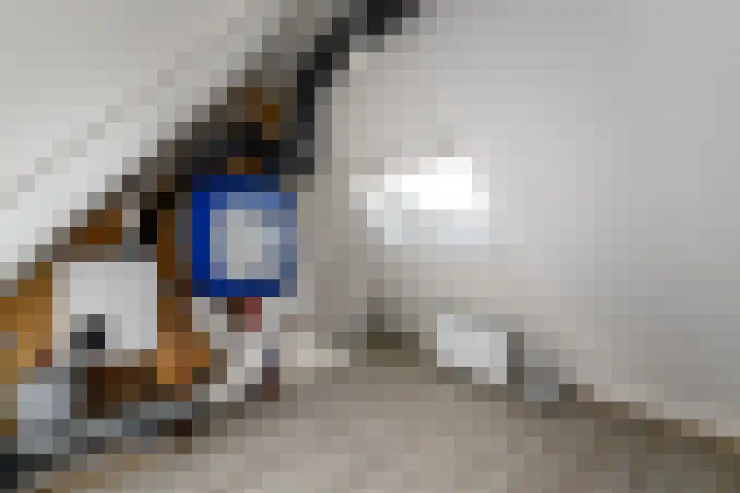 Voorkamp 16 Oldeholtpade thumbnail 29