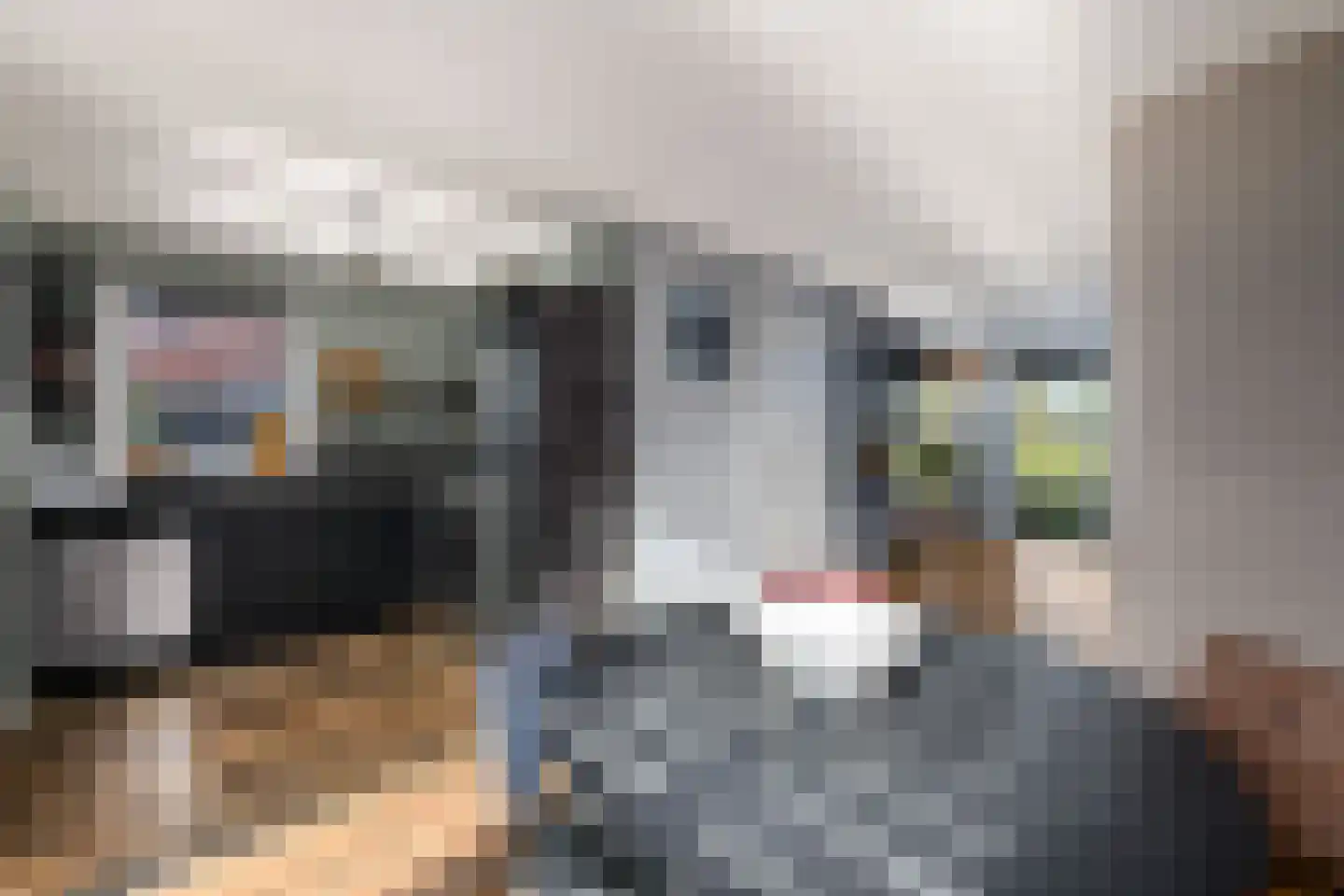 Voorkamp 16 Oldeholtpade thumbnail 5