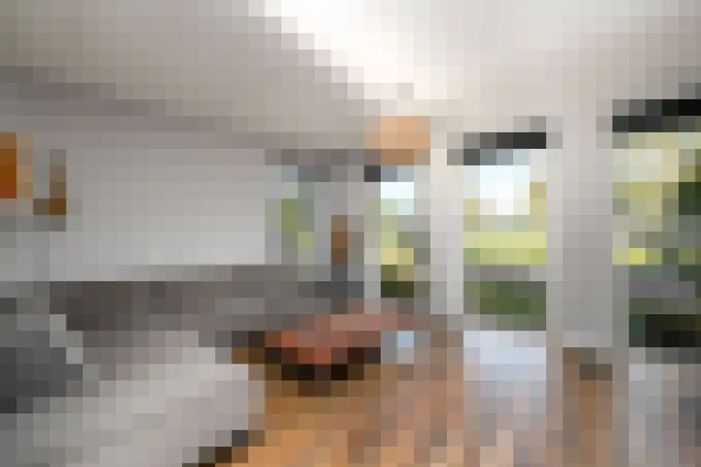 Voorkamp 16 Oldeholtpade thumbnail 6