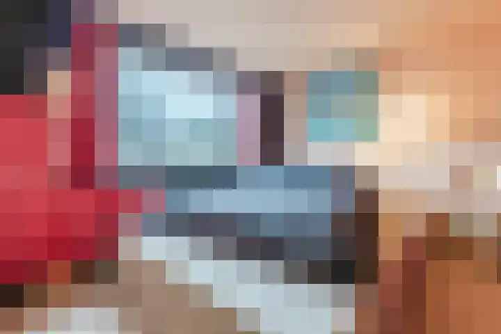 Voorkamp 33 Beets thumbnail 15