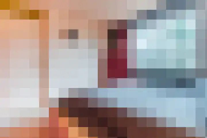 Voorkamp 33 Beets thumbnail 17