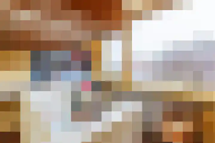 Voorkamp 33 Beets thumbnail 21